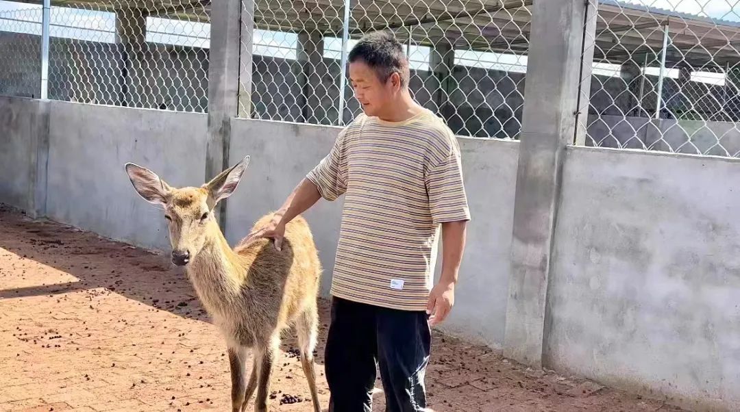 明仕娱乐亚洲
